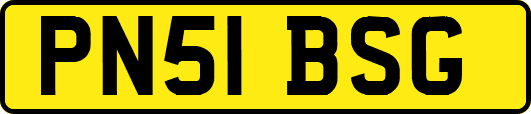 PN51BSG