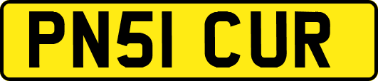 PN51CUR