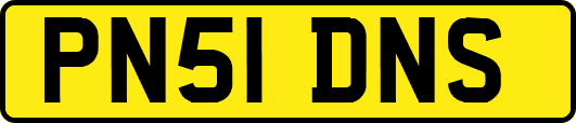 PN51DNS