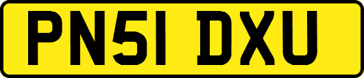 PN51DXU