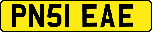 PN51EAE