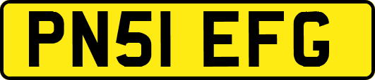 PN51EFG