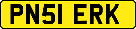 PN51ERK