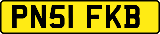 PN51FKB