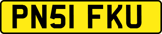 PN51FKU