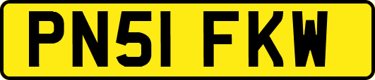 PN51FKW