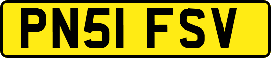 PN51FSV
