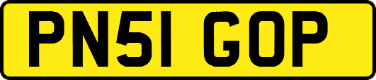 PN51GOP