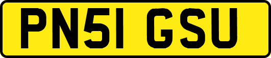 PN51GSU