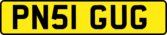 PN51GUG