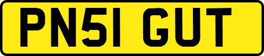 PN51GUT
