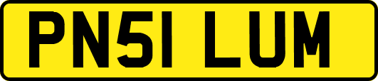 PN51LUM