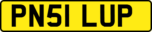 PN51LUP