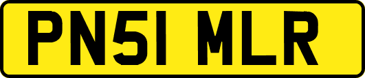 PN51MLR