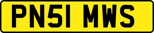 PN51MWS