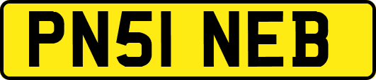 PN51NEB