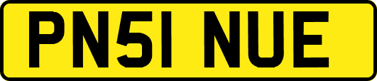 PN51NUE