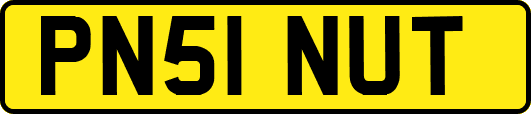PN51NUT