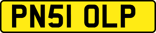 PN51OLP