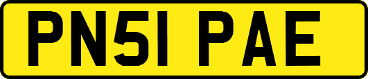 PN51PAE