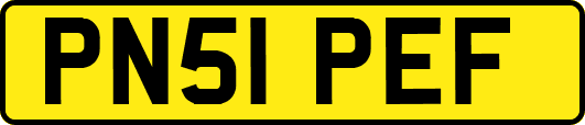 PN51PEF