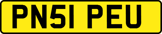PN51PEU