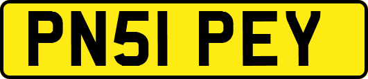 PN51PEY