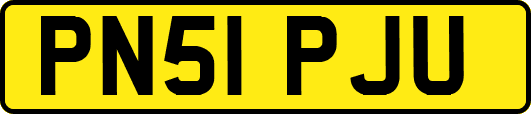 PN51PJU