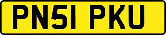 PN51PKU