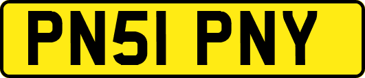 PN51PNY