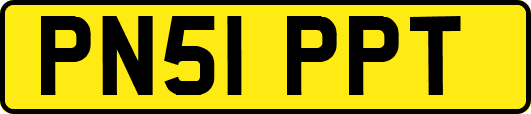 PN51PPT