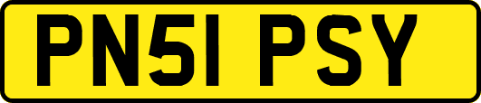 PN51PSY