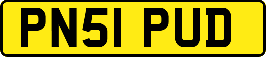 PN51PUD