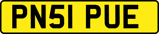 PN51PUE
