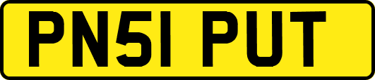 PN51PUT