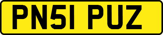 PN51PUZ