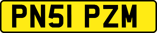 PN51PZM