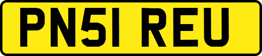 PN51REU