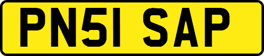 PN51SAP