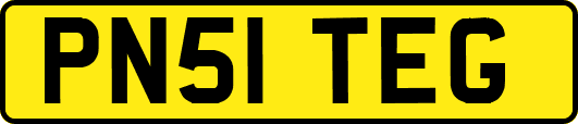 PN51TEG