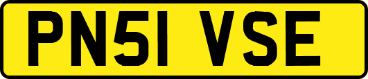 PN51VSE