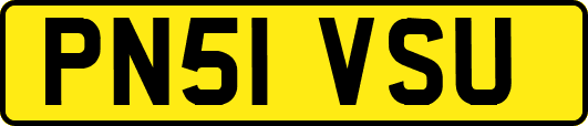 PN51VSU