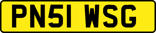 PN51WSG