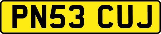 PN53CUJ