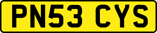 PN53CYS