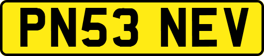 PN53NEV