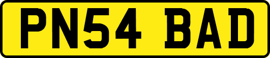 PN54BAD