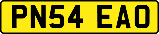 PN54EAO