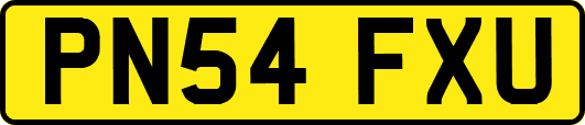 PN54FXU