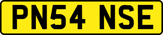 PN54NSE